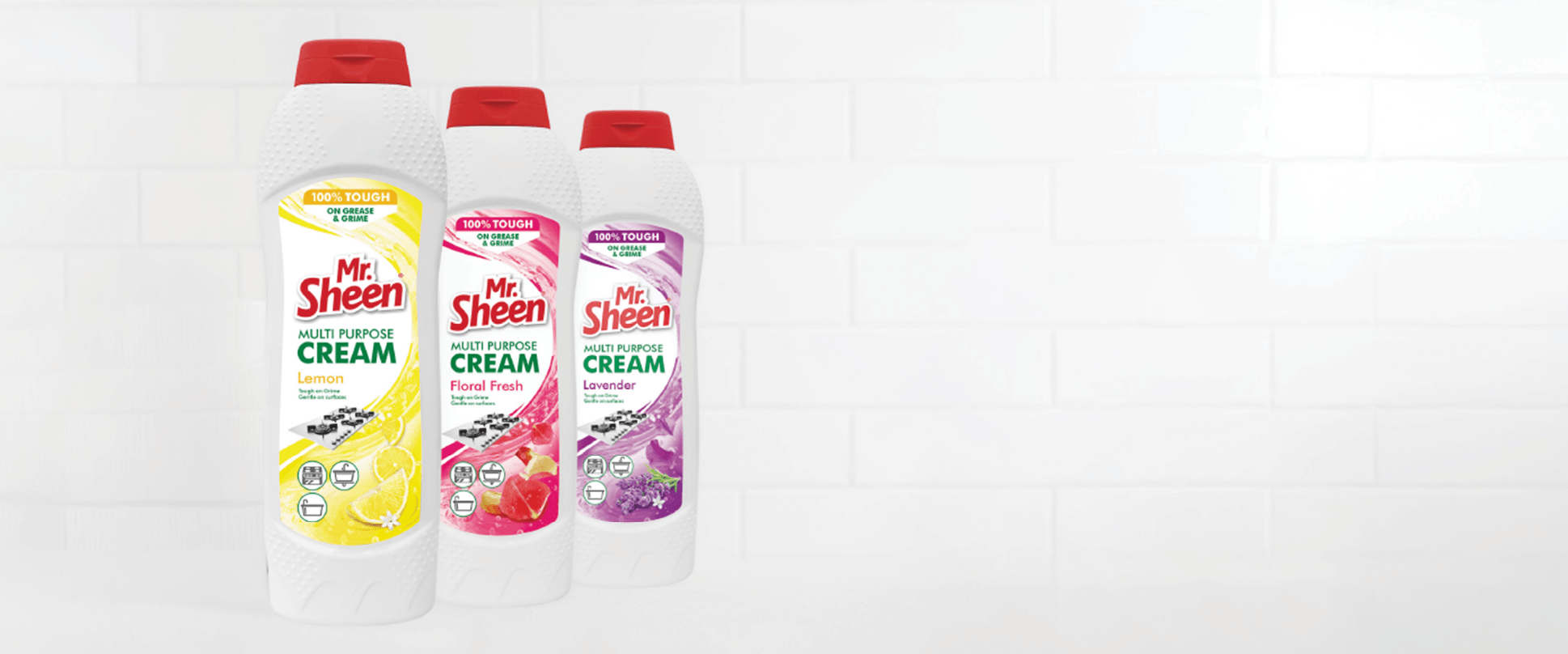 Clean Sheen Mr. Sheen Cleaning Products